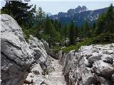 Rifugio Bai de Dones - Rifugio Scoiattoli